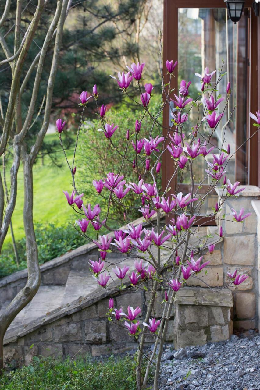 Casa Lavanda Boutique Hotel Ağva Buitenkant foto